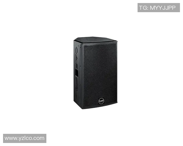 伯顿功放VS6评测：音质表现与功能对比分析，谁才是音响界的王者